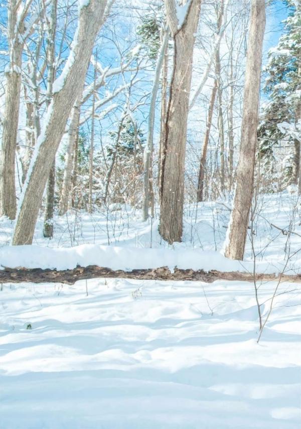 Whoseman-10-犬系男孩-安東尼-北海道特別企劃